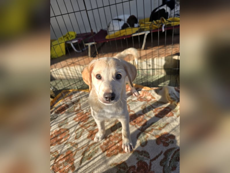 Emanuela: Spaß und gute Laune garantiert