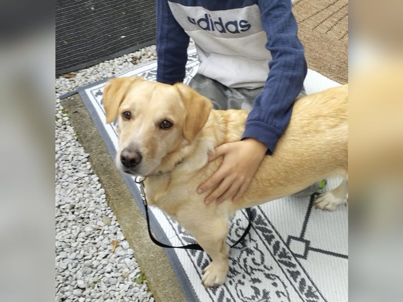 Benni ein absoluter Traum