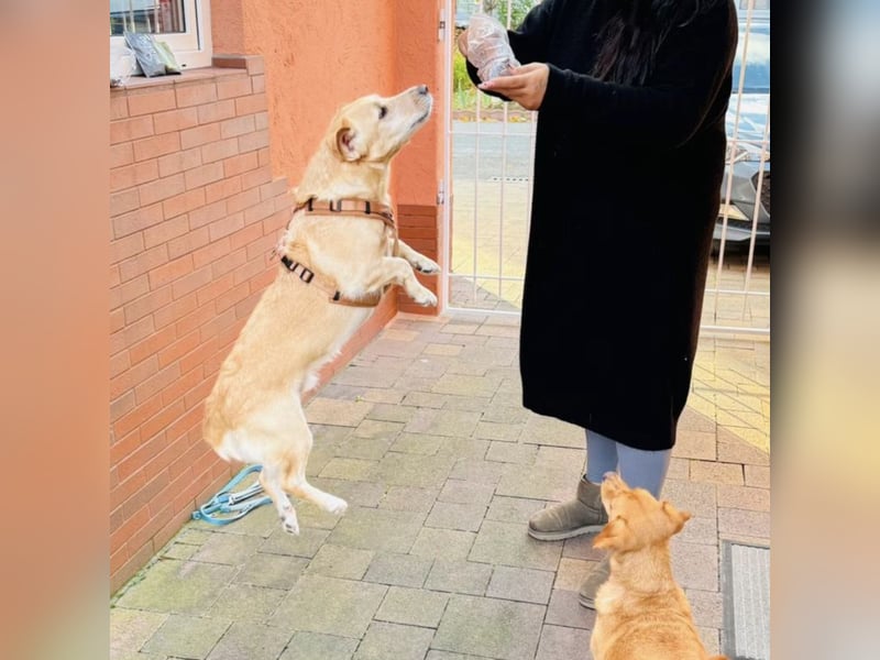 Benni ein absoluter Traum