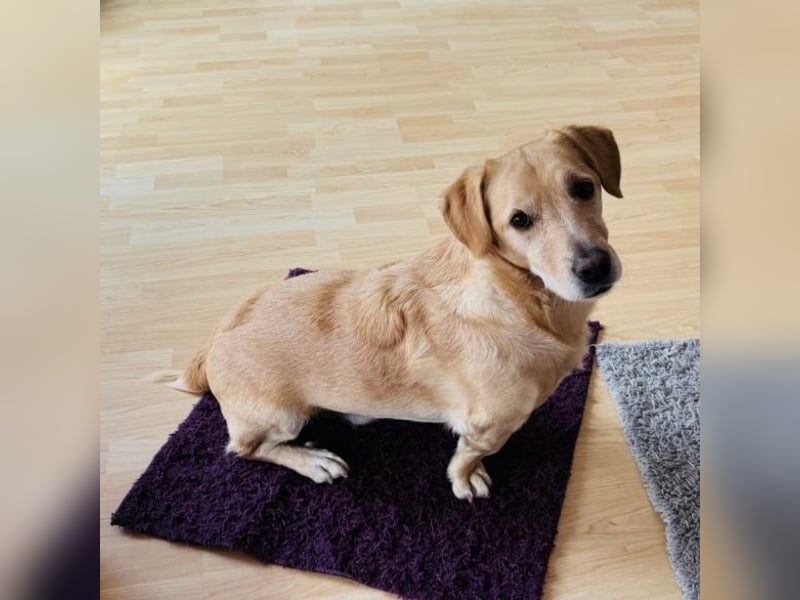 Benni ein absoluter Traum