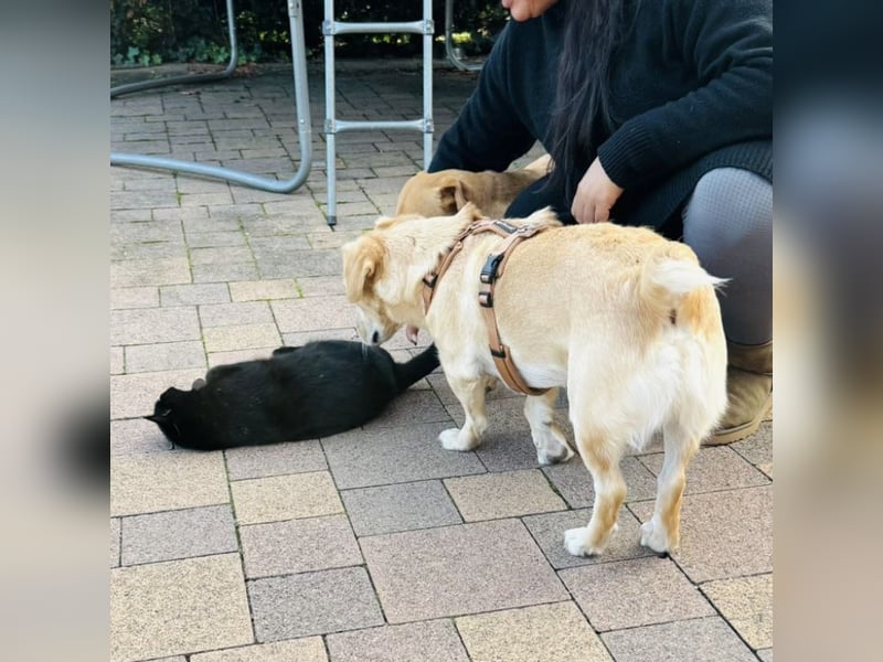 Benni ein absoluter Traum