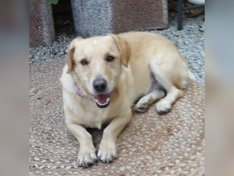 Benni ein absoluter Traum