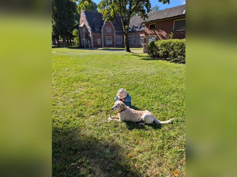 Herzensgute Emma (11) sucht ruhigeres Körbchen für den Ruhestand