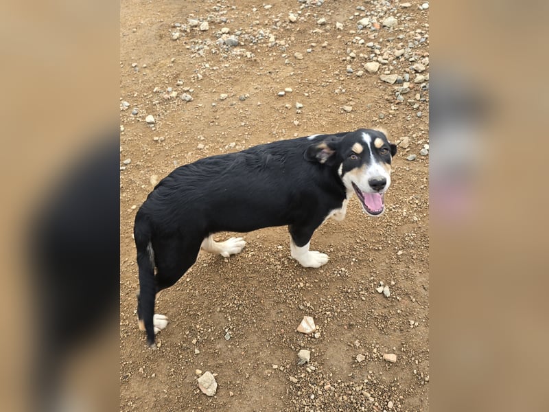 Birdie: unser kleiner Sonnenschein