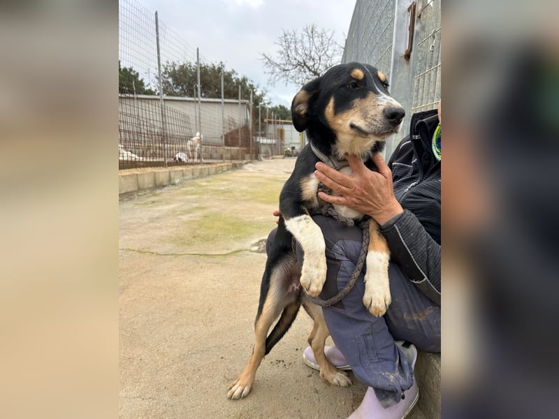 Betty: Hallo, hier bin ich!