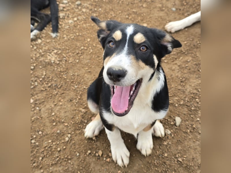 Birdie: unser kleiner Sonnenschein