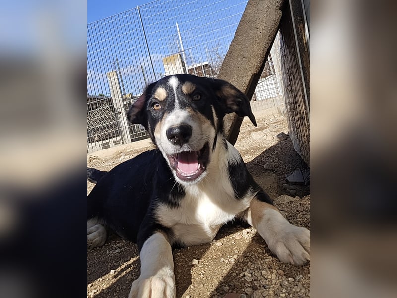 Birdie: unser kleiner Sonnenschein