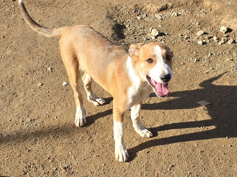 Billie: Hallo, hier bin ich!