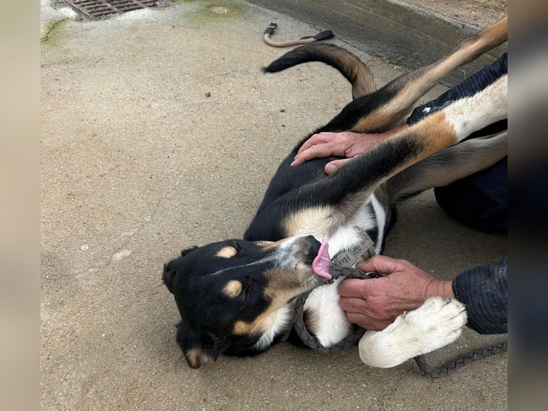 Betty: Hallo, hier bin ich!