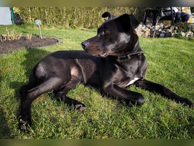 Noor wartet auf ihr Für-Immer-Zuhause Noor wartet auf ihr Für-Immer-Zuhause