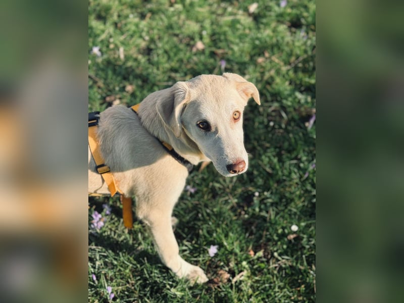 Kenba: ein Schatz für die ganze Familie