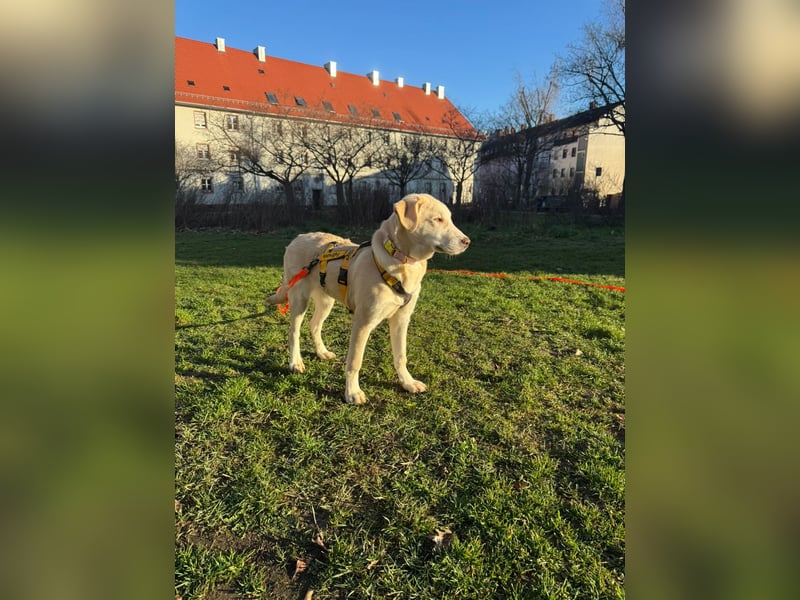 Kenba: ein Schatz für die ganze Familie