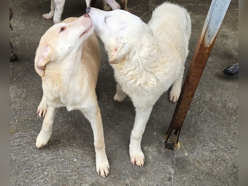 Kenba: ein Schatz für die ganze Familie