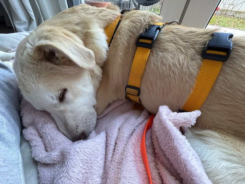 Kenba: ein Schatz für die ganze Familie