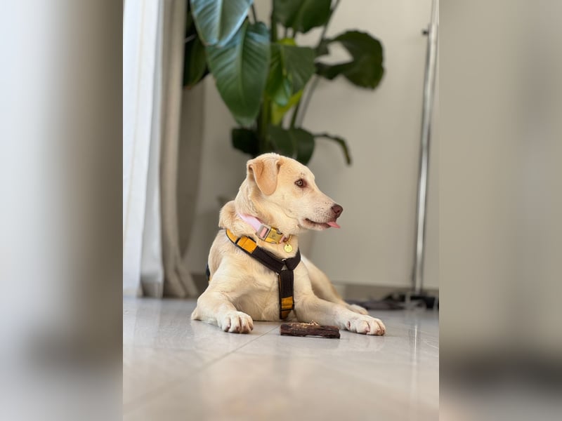 Kenba: ein Schatz für die ganze Familie