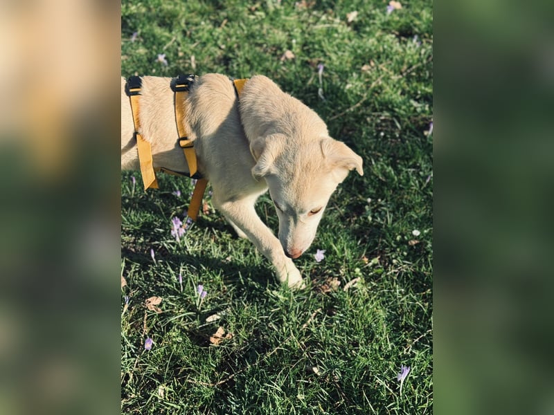 Kenba: ein Schatz für die ganze Familie