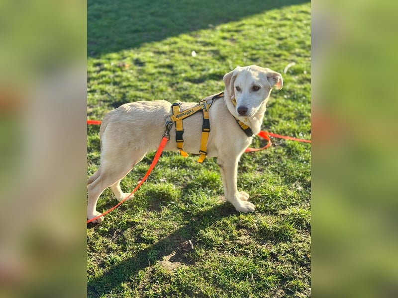 Kenba: ein Schatz für die ganze Familie