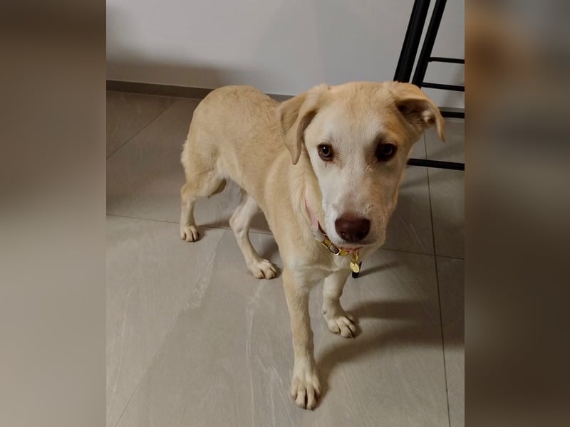 Kenba: ein Schatz für die ganze Familie