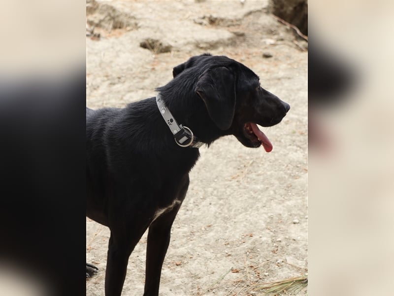 Kleiner Charmeur PAVLOS (3 Jahre) sucht eine Familie! Kleiner Charmeur PAVLOS (3 Jahre) sucht eine Familie!