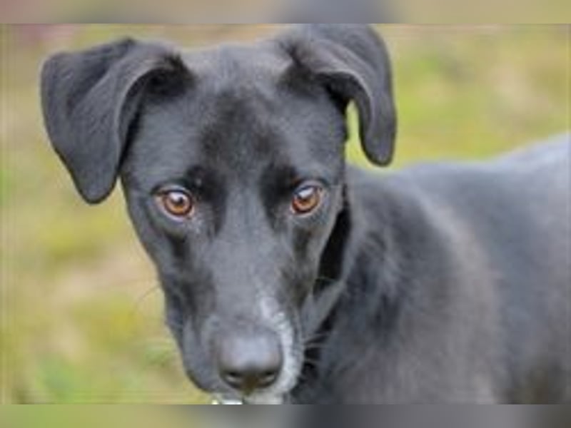 Liebes Mädchen Berta sucht eine Familie