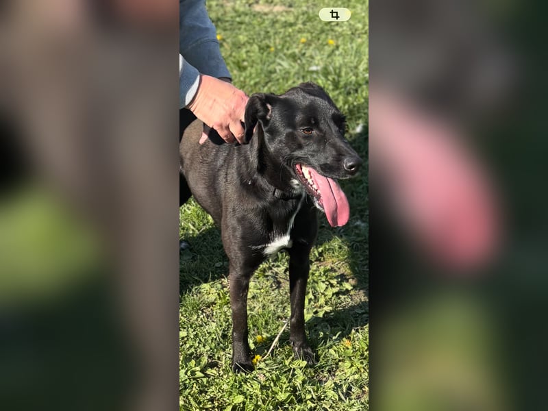 Liebes Mädchen Berta sucht eine Familie