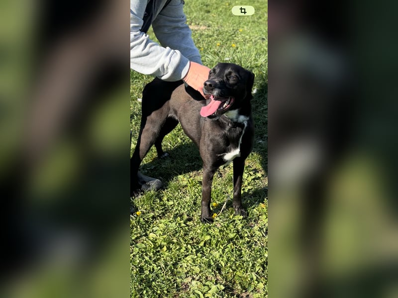 Liebes Mädchen Berta sucht eine Familie