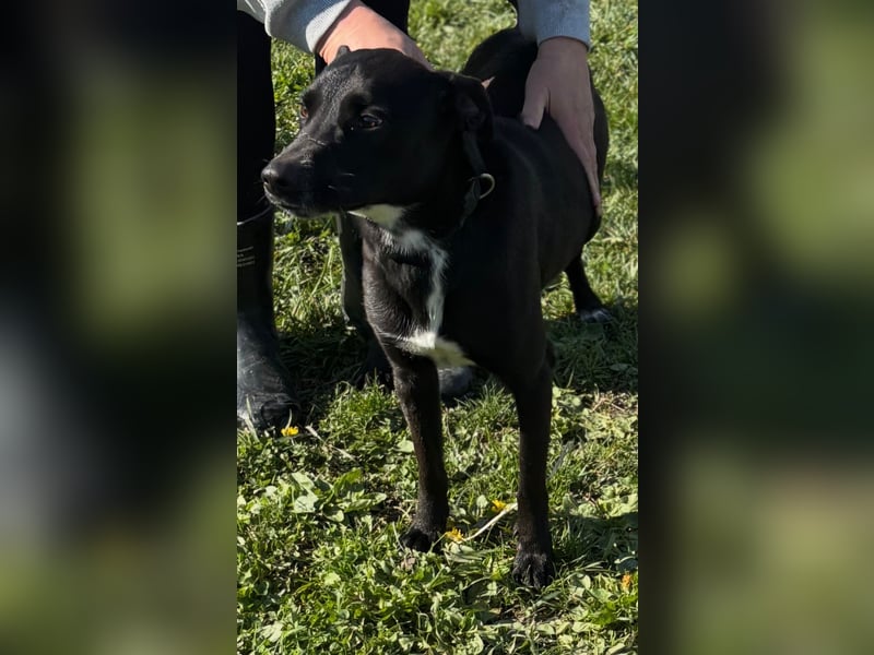 Liebes Mädchen Berta sucht eine Familie