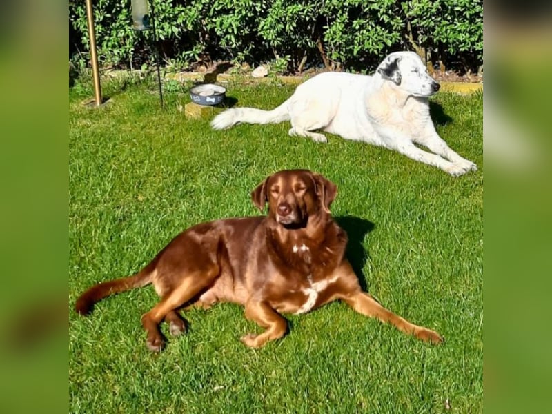 Full - Das Leben ist nicht immer fair