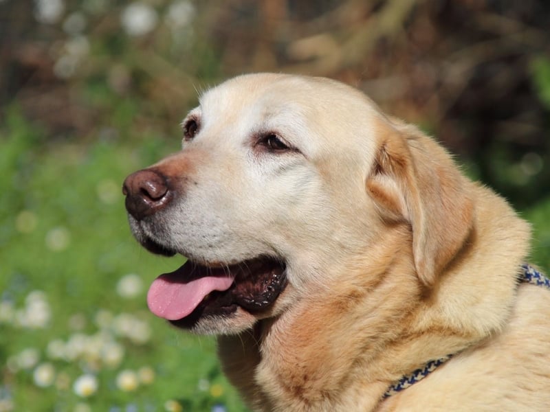 Sindra - noch einen Schritt zum Happy End...