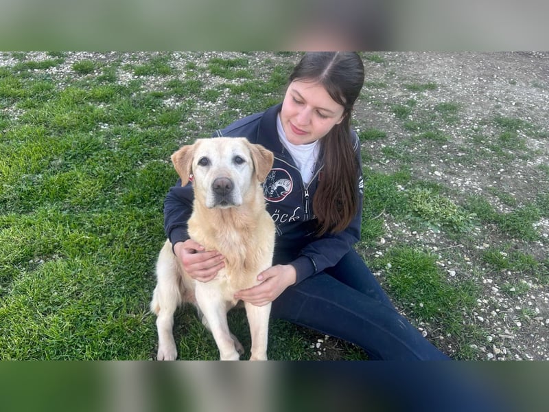 Sindra - noch einen Schritt zum Happy End...