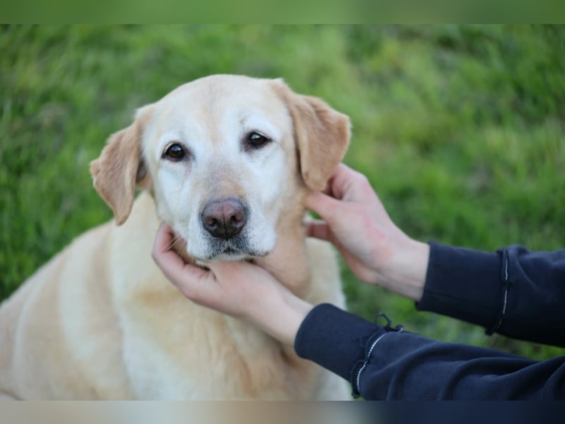 Sindra - noch einen Schritt zum Happy End...