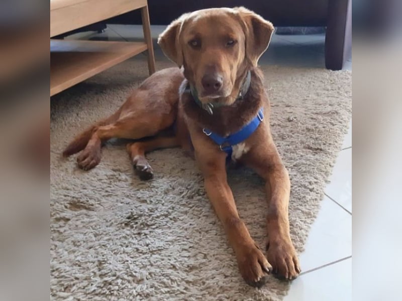 Full - Das Leben ist nicht immer fair