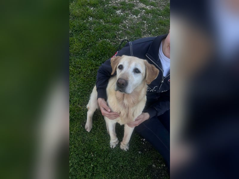 Sindra - noch einen Schritt zum Happy End...