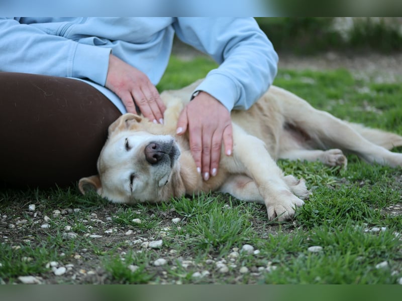 Sindra - noch einen Schritt zum Happy End...