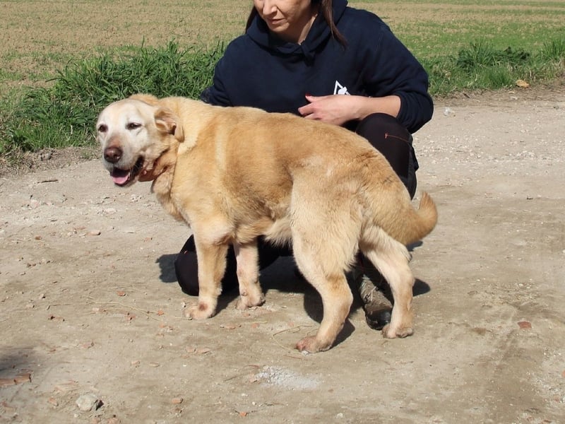 Sindra - noch einen Schritt zum Happy End...