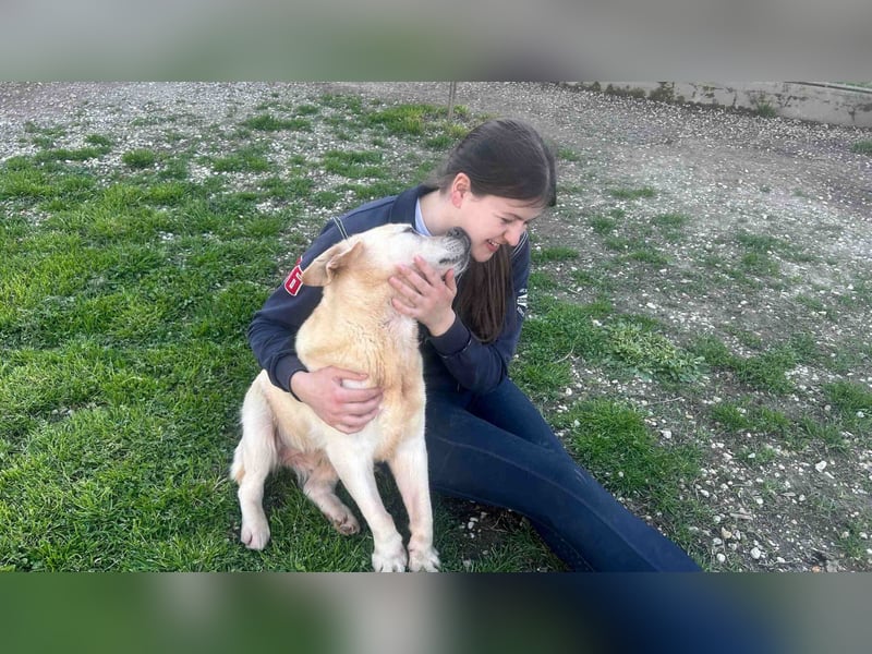 Sindra - noch einen Schritt zum Happy End...