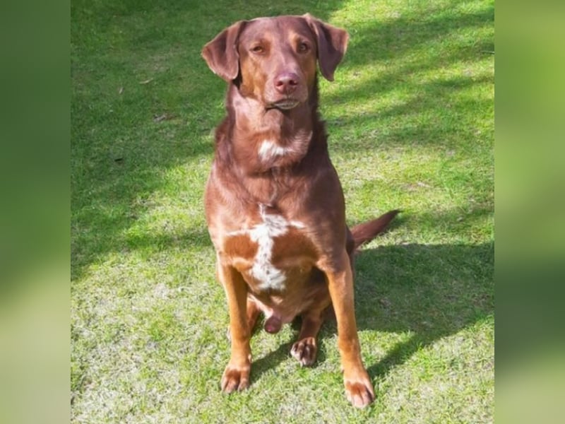 Full - Das Leben ist nicht immer fair