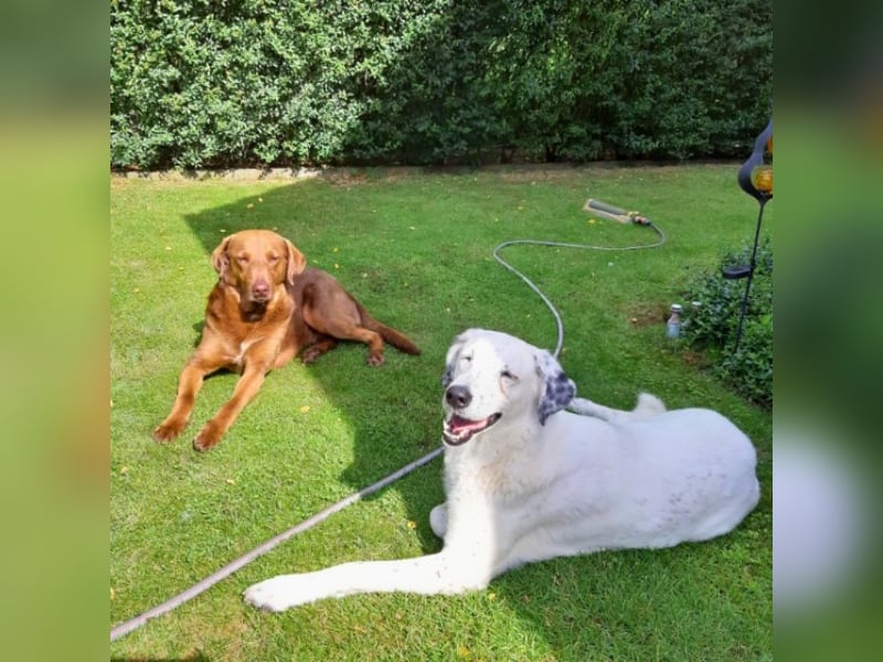 Full - Das Leben ist nicht immer fair