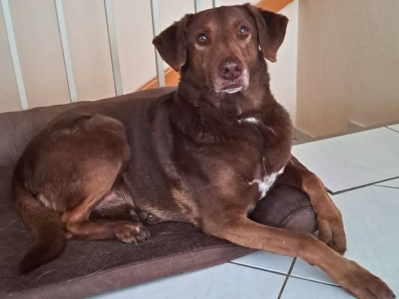 Full - Das Leben ist nicht immer fair