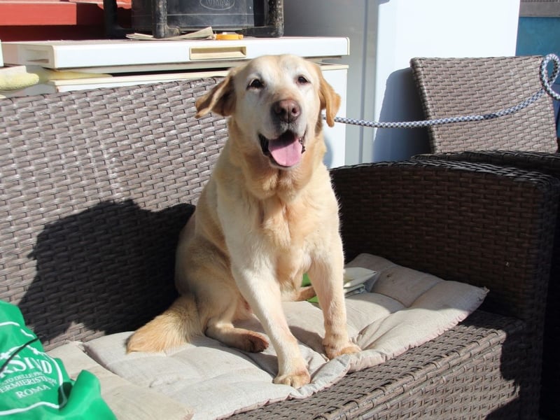 Sindra - noch einen Schritt zum Happy End...