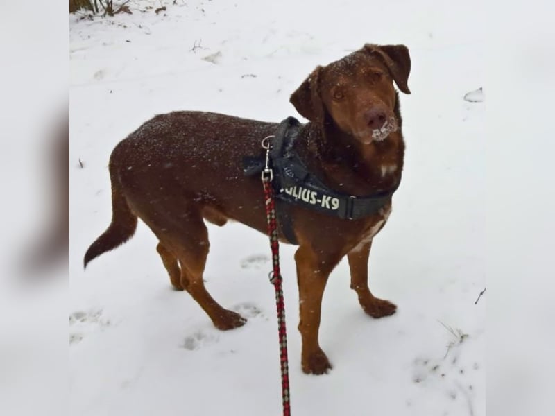 Full - Das Leben ist nicht immer fair