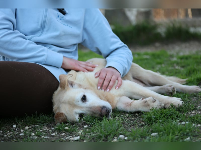 Sindra - noch einen Schritt zum Happy End...
