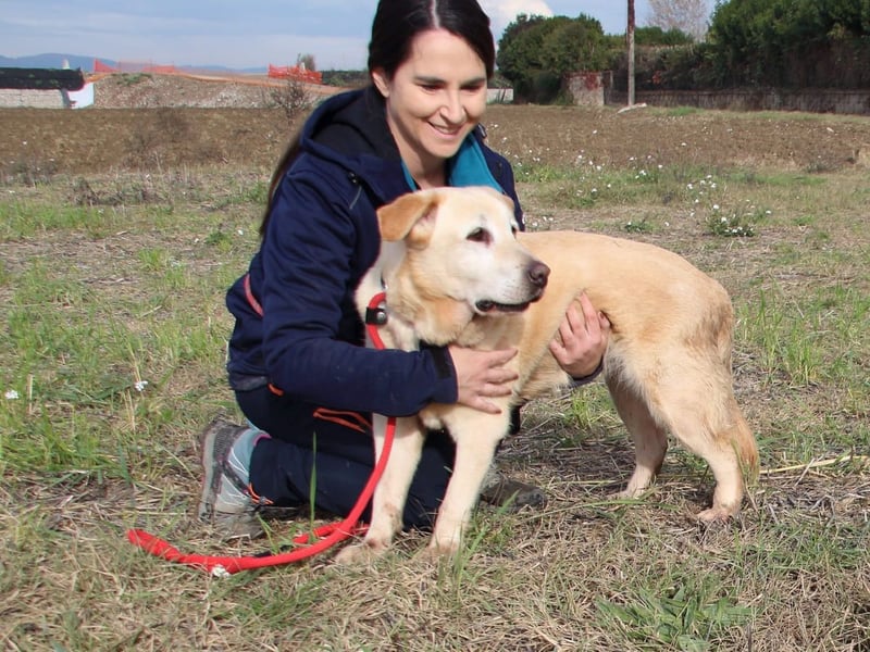 Sindra - noch einen Schritt zum Happy End...