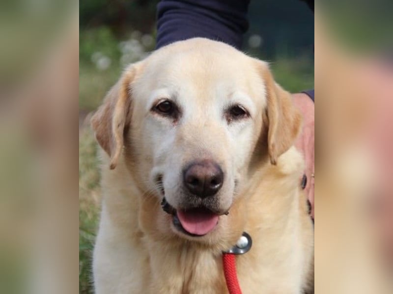 Sindra - noch einen Schritt zum Happy End...