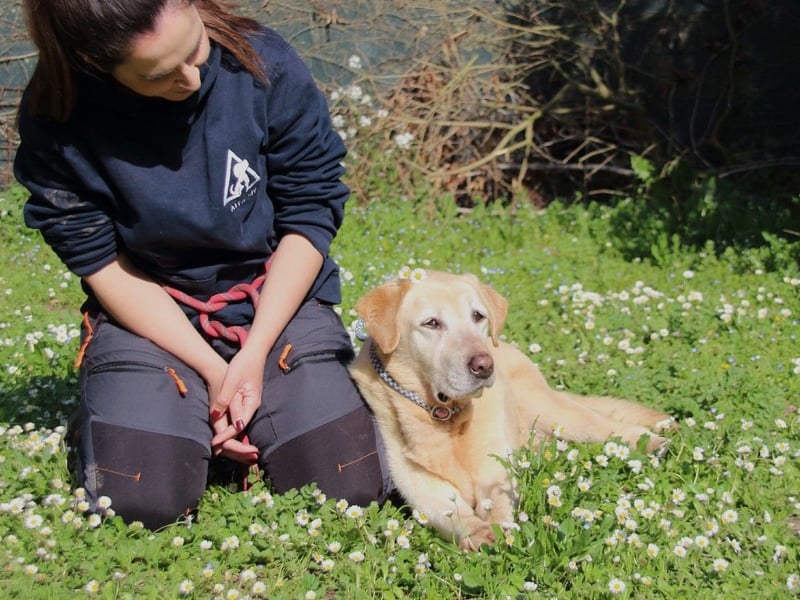 Sindra - noch einen Schritt zum Happy End...