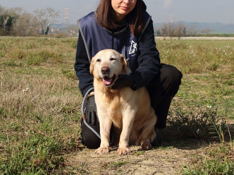 Sindra - noch einen Schritt zum Happy End...