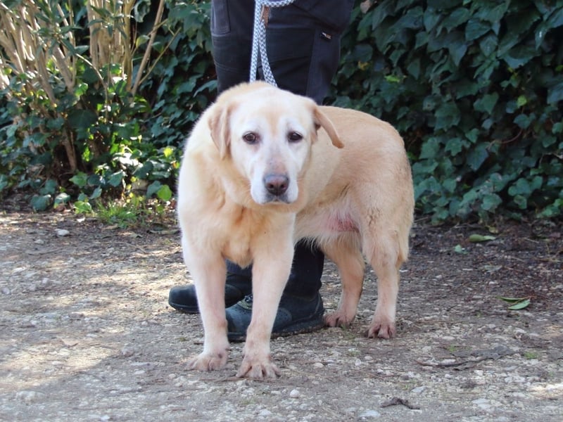 Sindra - noch einen Schritt zum Happy End...