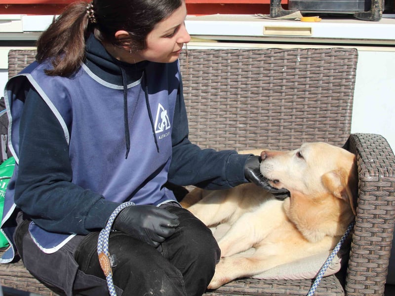 Sindra - noch einen Schritt zum Happy End...