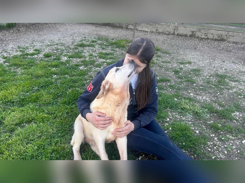 Sindra - noch einen Schritt zum Happy End...