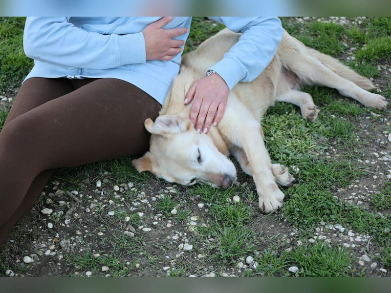 Sindra - noch einen Schritt zum Happy End...